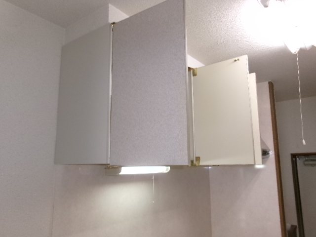 ステラ その他