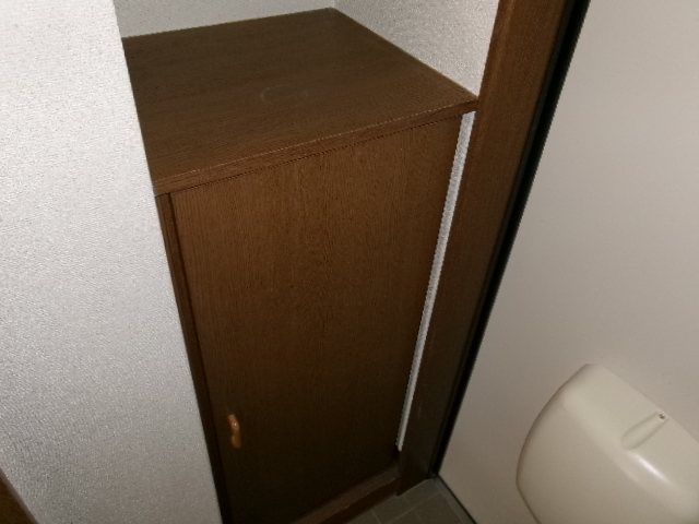 ステラ その他