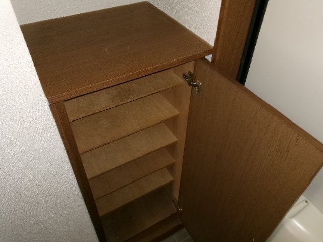 ステラ その他