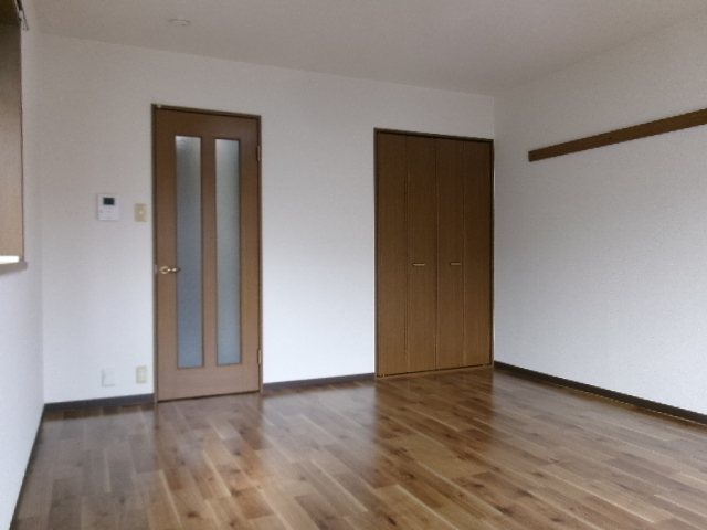 ステラ その他