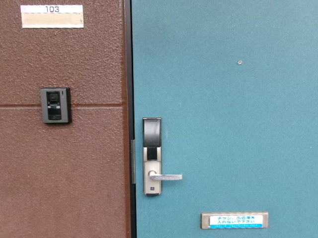ステラ その他