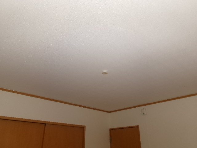 TIARA（ティアラ） その他