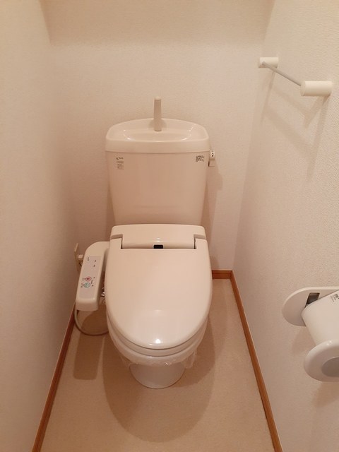 タウンヒルズⅤ トイレ