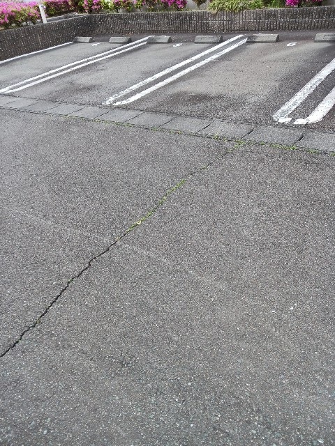 グラン・新星 駐車場
