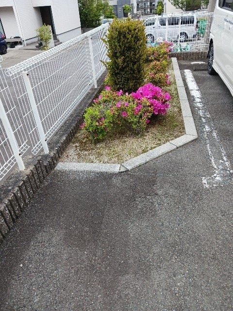 グラン・新星 その他