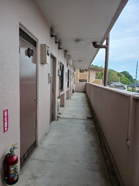 グラン・新星 その他