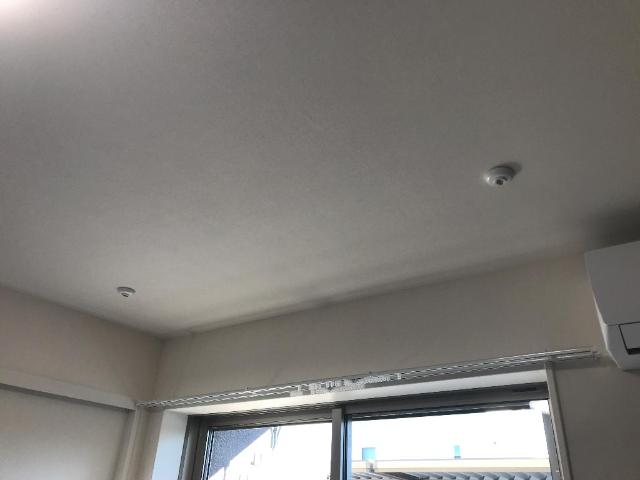 ボルーナⅡ その他