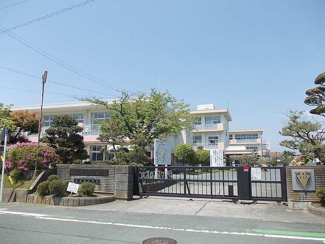 プリムラ その他