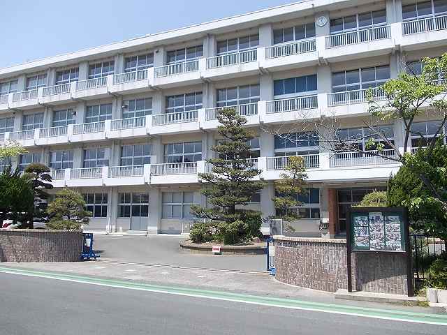 プリムラ その他