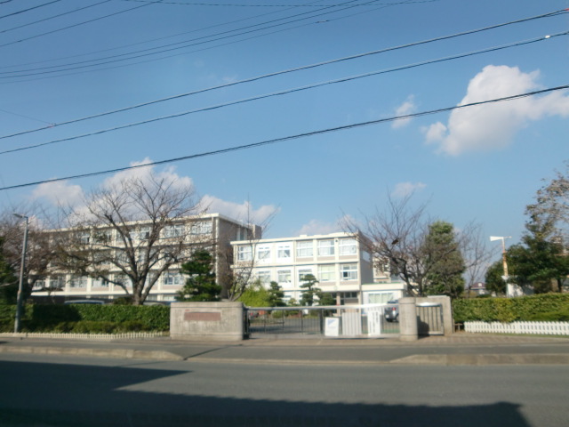 フローラミルト 小学校