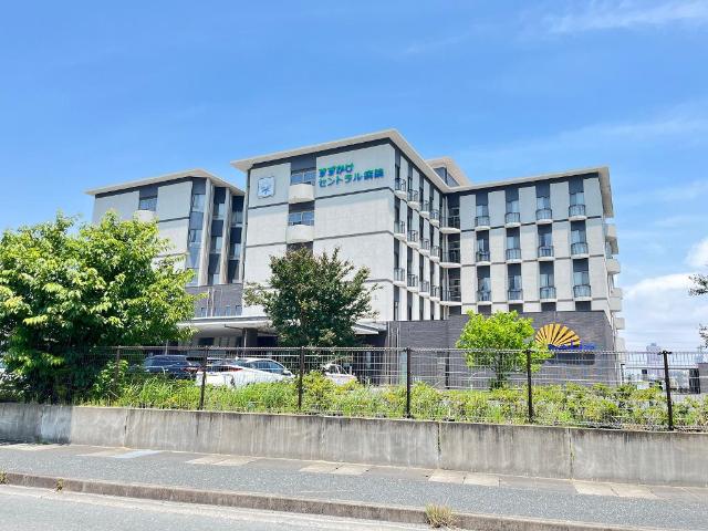 ひまわり その他