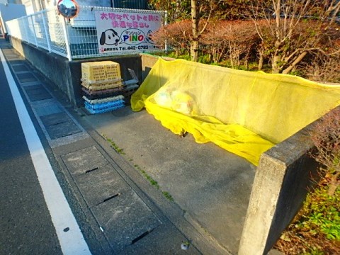マンションPINO Ⅱ その他共有部分