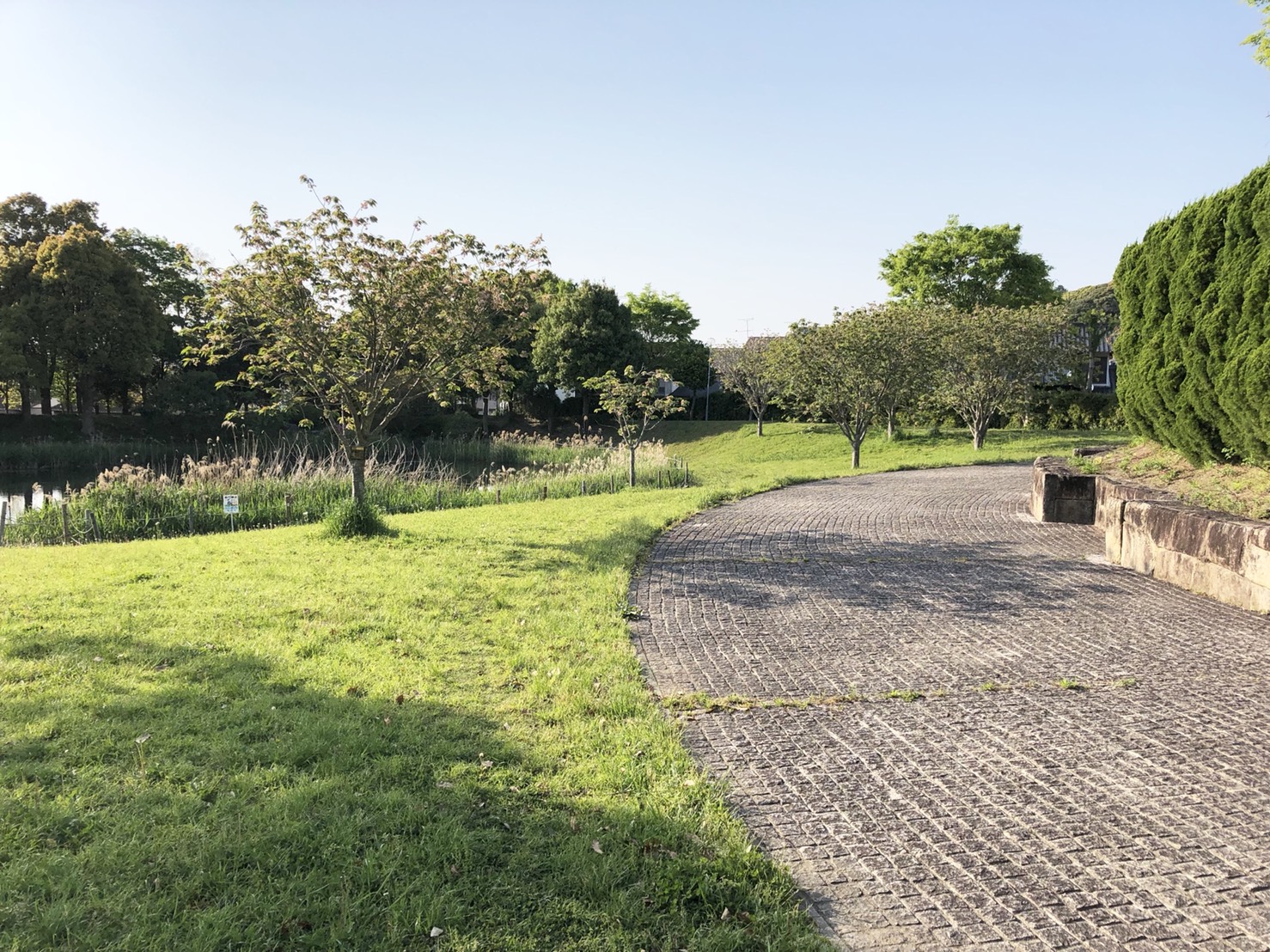 キャトル　百合の木 公園