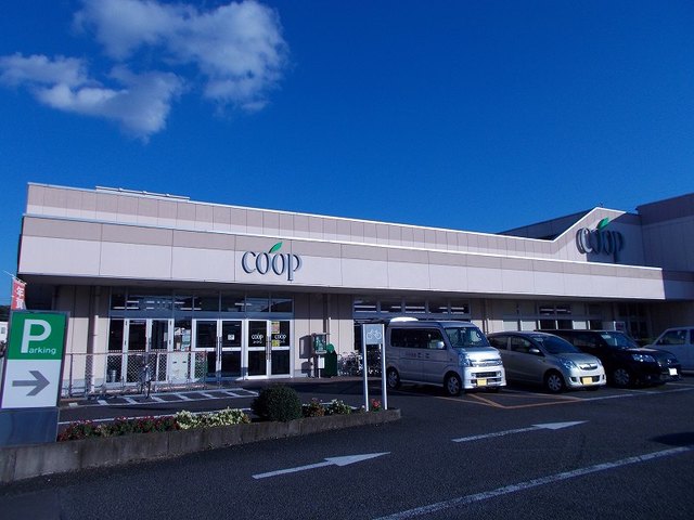 エクセレント　アベリア その他