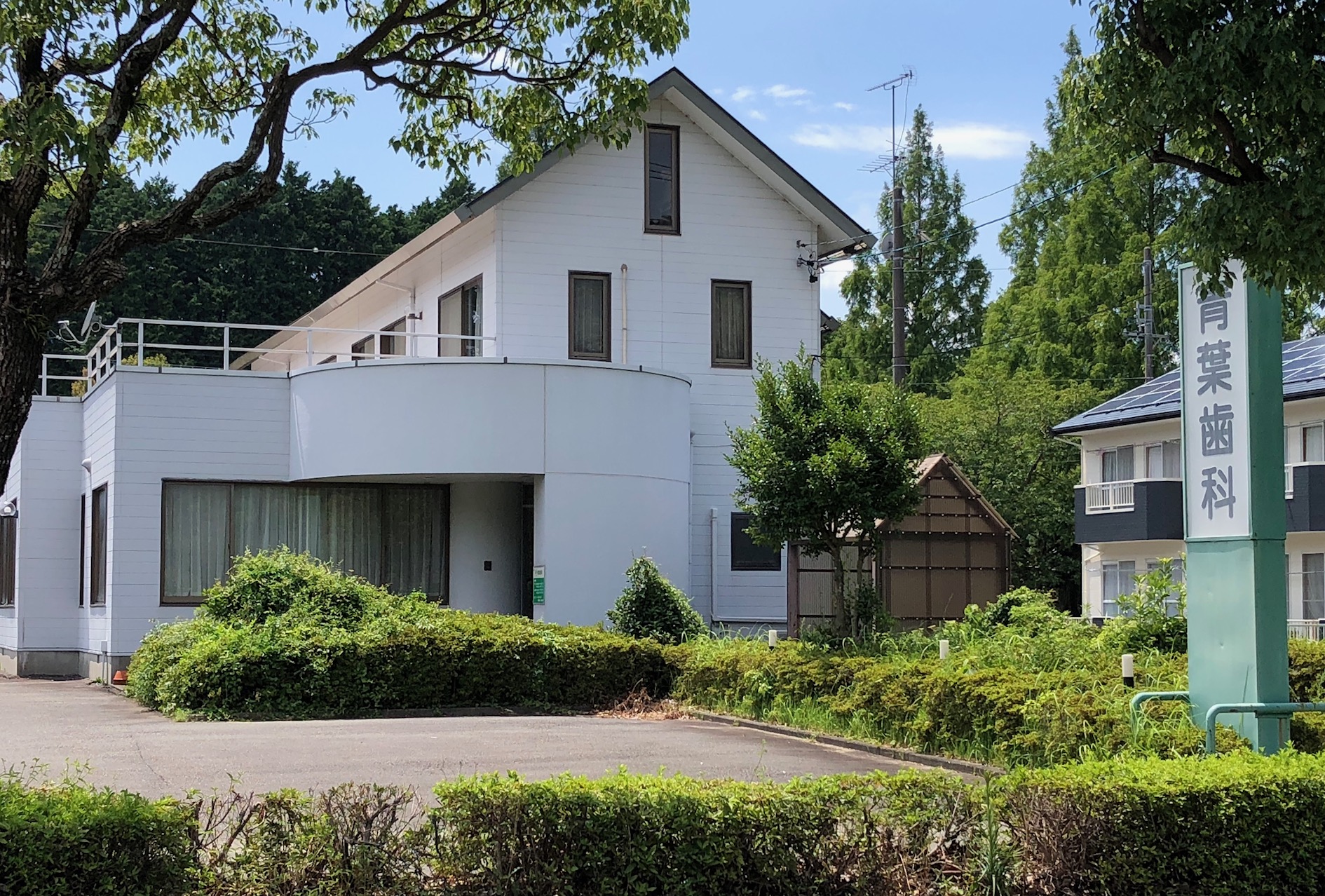 エクセレント　アベリア 歯科