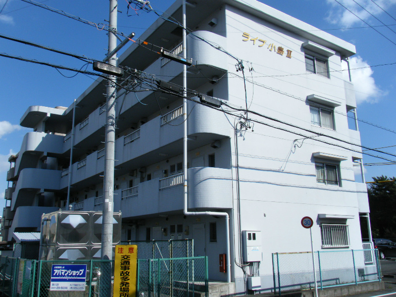 ライブ小島Ⅱ その他