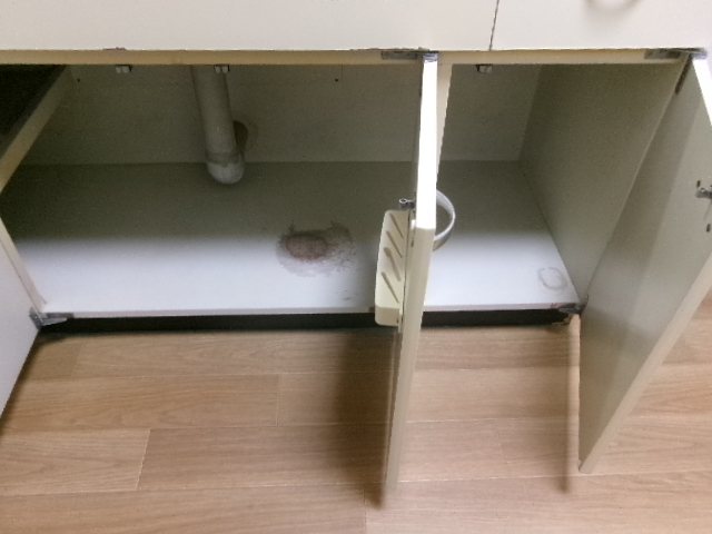 ライブ小島Ⅱ その他