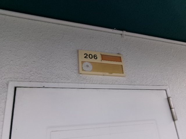 ライブ小島Ⅱ その他