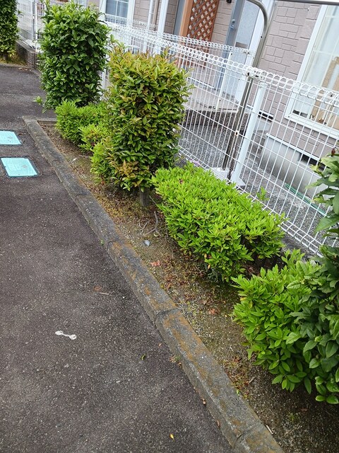アンベリール その他