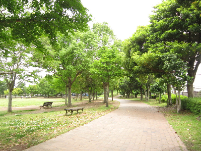メヌエット 公園
