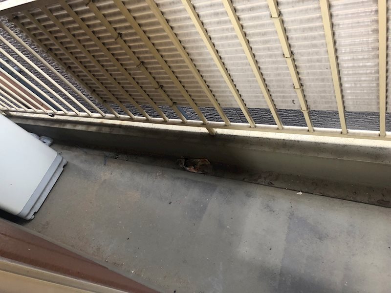 ベランダ トモエハイツ2 ベランダ