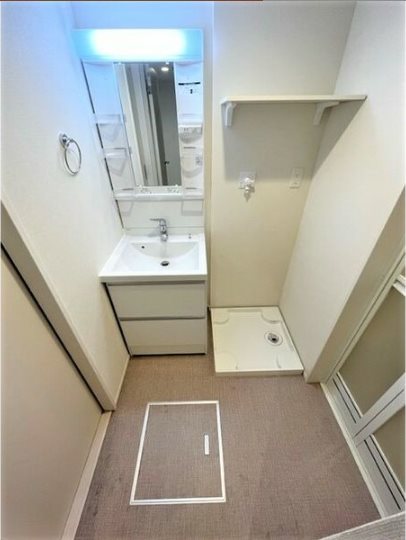南大阪ミカーサ 洗面所