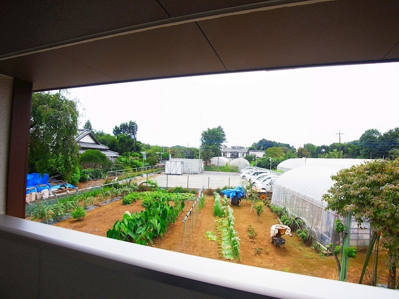 アバンツァートⅢ その他5