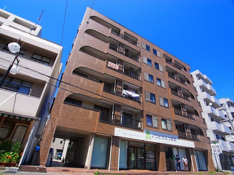 リバーサイド松戸 503号室 外観