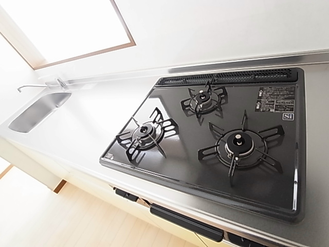 アムールＳⅠ その他12