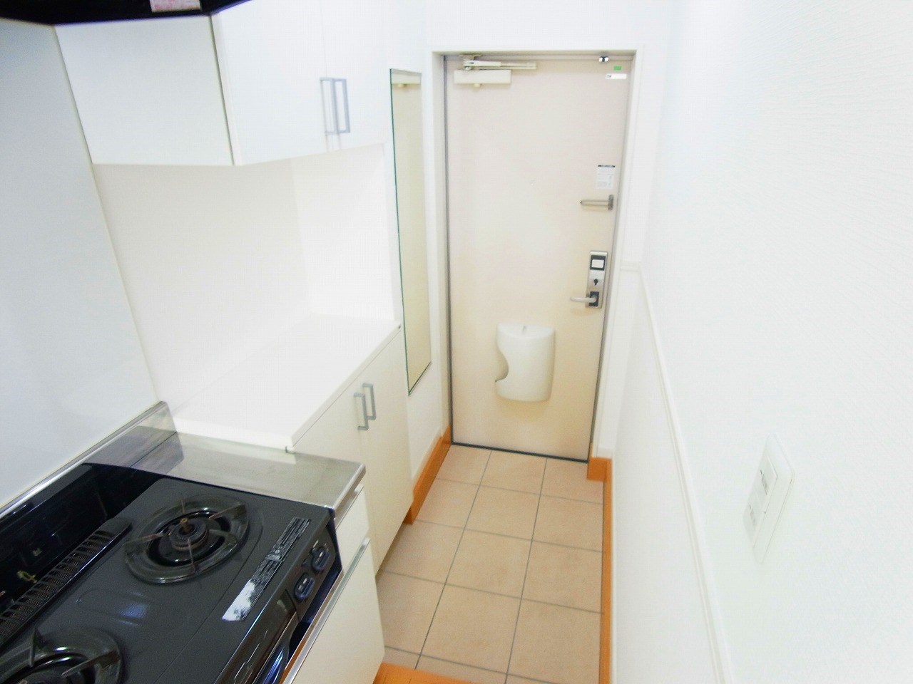 ヒューマンパレス柏Ⅲ 玄関