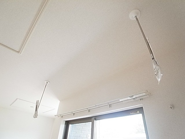 Ｒ．ラパン その他6