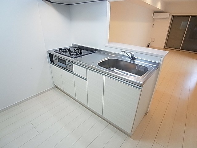 リブリ・ル　リス その他10