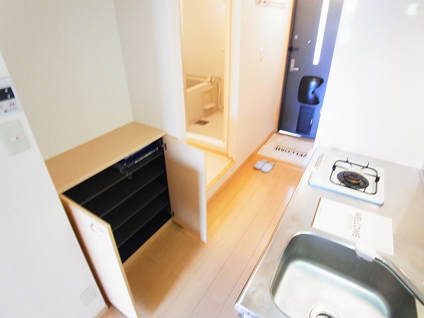 アピテ・プレミール その他11