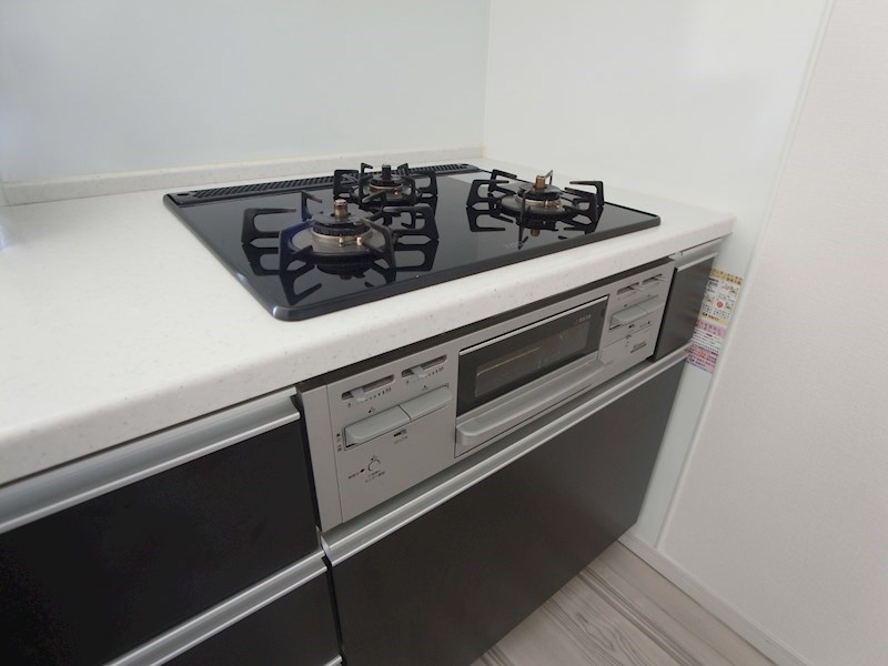 レーベンリヴァーレ柏ザ・レジデンス その他11