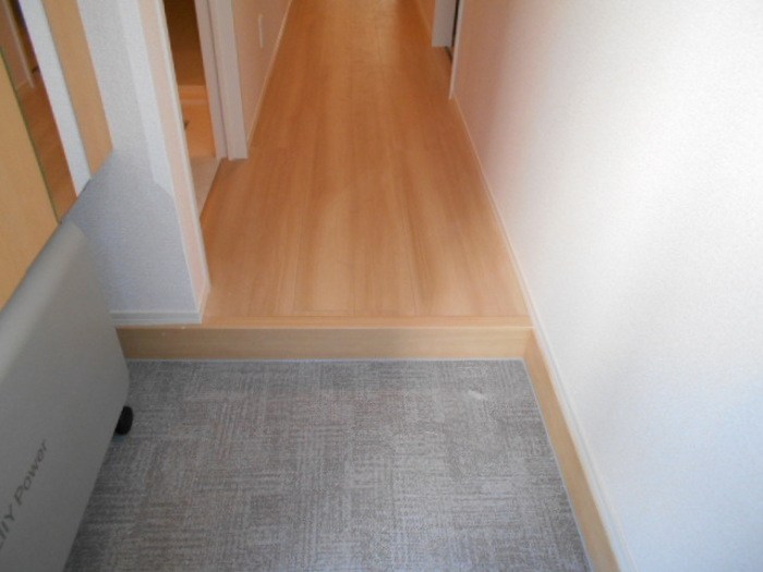 パティーナ 玄関