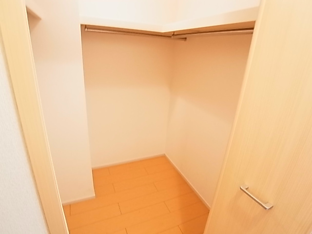 プルメリア その他3