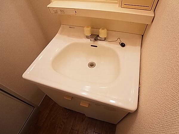 ロイヤルタウン泉 その他8