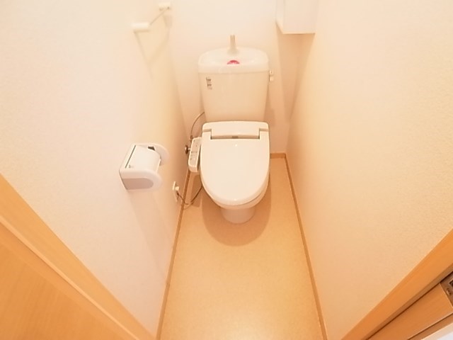 アイ・プラシード その他1