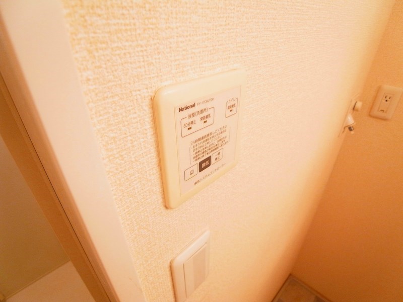ヴィアノⅡ その他