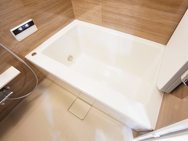 ライオンズタワー柏 その他8