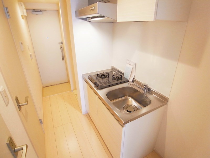 リブリ・エクセルＶ その他9