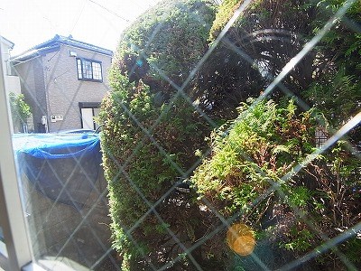 ジョイフル松戸 その他5