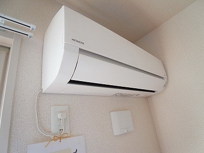 フェリチタ その他5