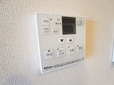 フェリチタ その他7
