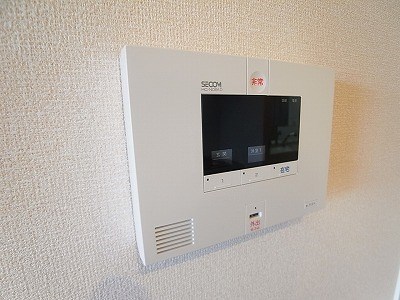 フェリチタ その他11