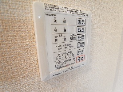 フェリチタ その他14