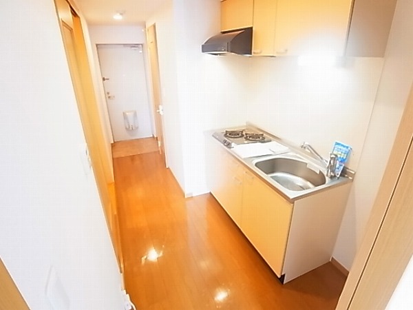 ルピナス その他7