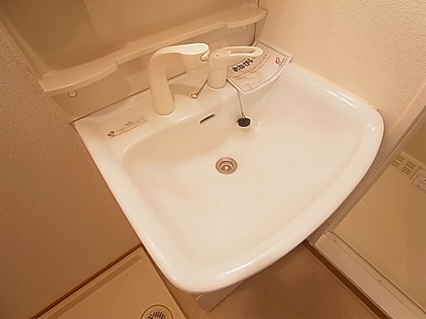 ルピナス その他10