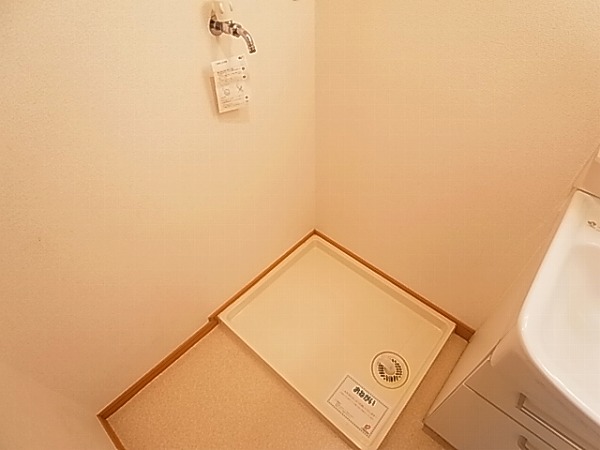 ルピナス その他14