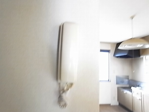 サントビーヒルズ　Ｄ その他4